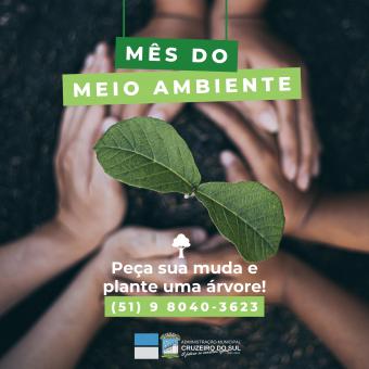 Dia do Meio Ambiente: município desenvolve programa de arborização urbana