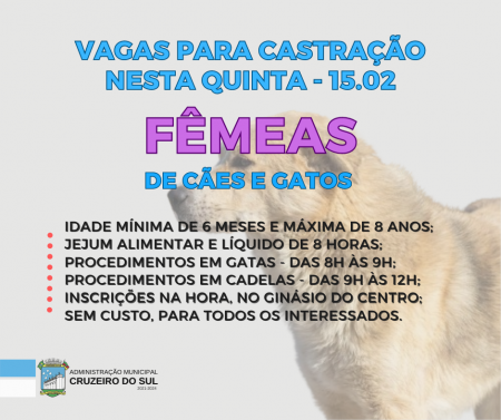 Ainda há vagas para castração de fêmeas de cães e gatos para esta quinta-feira, em Cruzeiro do Sul