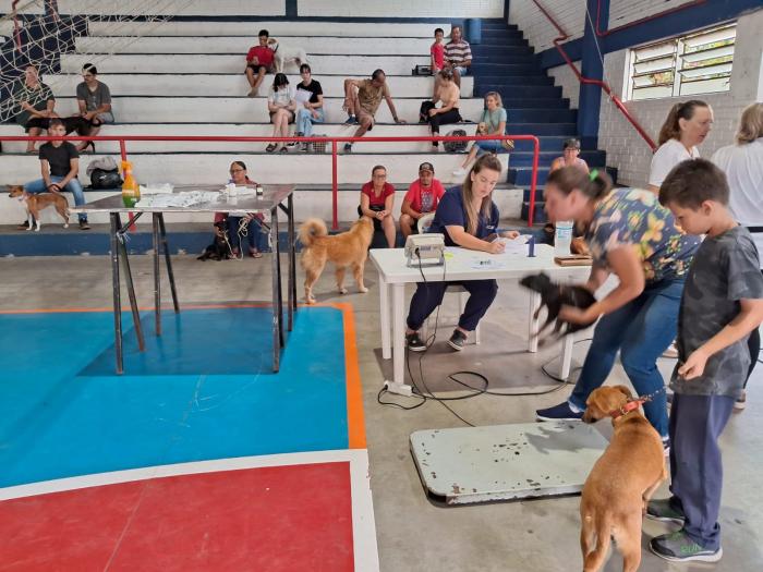 Programa Melhores Amigos realiza 168 castrações em Cruzeiro do Sul