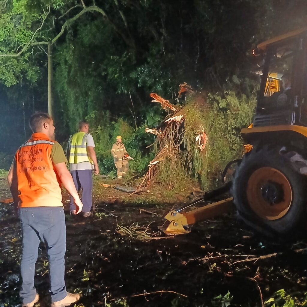 Prefeitura atua em força-tarefa para remoção de árvore caída no Bairro Italiana